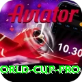 1992 world cup Bonus Legend v1.6.5
