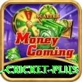 all cricket Casino Champion v3.5.6