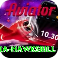 antigua hawksbill Apps (Tools & Injectors) Plus v5.1.5