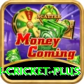 australian cricket Mega - Win Real PKR