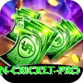 australian cricket Pro - Casino & Slots