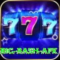 bbl big bash apk Apps (Tools & Injectors) Premium v2.2.2