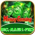 big bash - VIP King