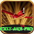cricket aus APK Master v2.4.4