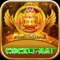 cricket bat VIP Pro v4.2.8