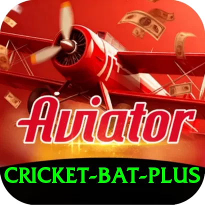 cricket bat Cash Champion - 2