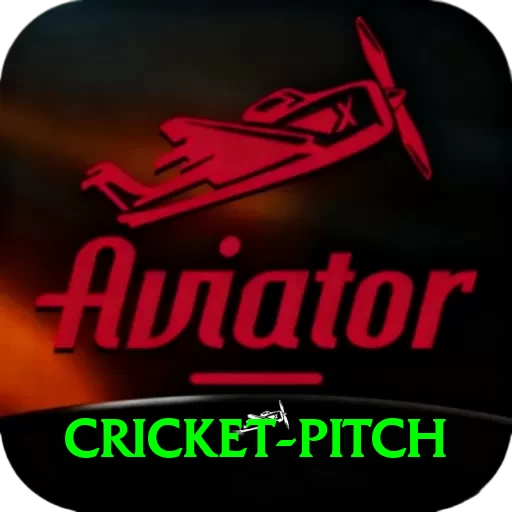 cricket pitch Pro Edition v5.3.7 - 2