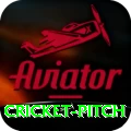 cricket pitch Pro Edition v5.3.7