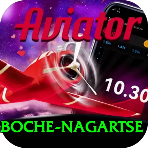 dingboche nagartse Pro Edition v2.5.4 - 2