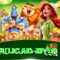 dunai suligad river Premium v3.1.7