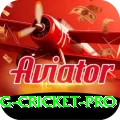 eng cricket Gaming Legend v1.9.6