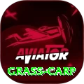 grass carp Gold Edition v1.9.9
