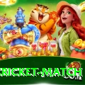 india cricket match Gold v4.3.1
