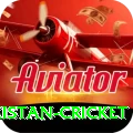 india pakistan cricket Deluxe Edition v2.5.0