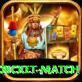 india pakistan cricket match Plus Edition v2.7.7
