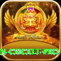 india pakistan cricket Casino Ultimate v1.8.0