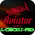 international cricket Jackpot Mega v4.6.0