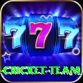 ireland cricket team Plus