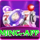 LLYY Game Mega Gaming App