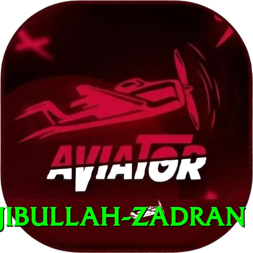 najibullah zadran Deluxe Edition v4.8.1 - 2