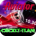 pakistan women cricket team Ultimate Pro v1.3.7