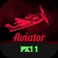 pk11 Pro1 v2.5.4