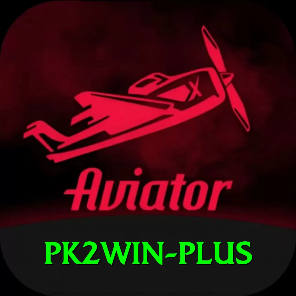 pk2win VIP Pro v3.8.4 - 2