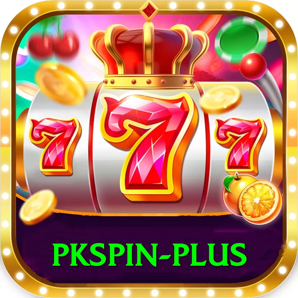 pkspin Pro Edition v2.3.7 - 2