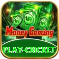 play cricket Max Pro v1.1.8