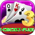 play cricket - Gaming Ultimate