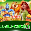 risk free bet cricket Games (Casino & Earning) Ultimate v1.9.2