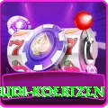 rudi koertzen Pro Max v5.6.7
