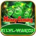 steve waugh VIP v2.1.4