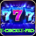 test cricket - Gaming Gold