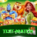 test match Master Pro v3.8.3