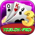 tgslot Pro v2.8.9