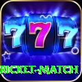 to day cricket match Turbo v1.0.0