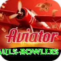 wicket hauls bowlers Plus Pro v2.7.6