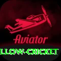 willow cricket Master v4.0.1