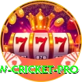 willow cricket Cash Super